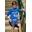 Conjunto bermuda, camisa y sudadera New York La Martinica - Imagen 1