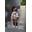 PICHY+BLUSA VENUS - NOMA FERNANDEZ (INV 25) - Imagen 2