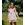 Vestido estampado Colección Pepi polo La Martinica - Imagen 2